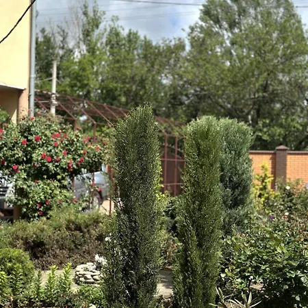 2-Room Apartment With Swimming Pool Odesa